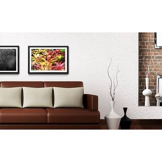 Quadro con cornice Powerful Plants Abete / Vetro acrilico