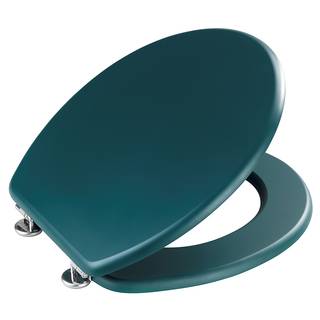 WC-Sitz Prima Edelstahl - Grün