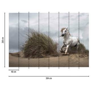 Fotomurale Cavallo e spiaggia Tessuto non tessuto - Bianco / Grigio / Verde - 3,84cm x 2,6cm
