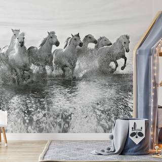 Fotomurale Cavalli bianchi Tessuto non tessuto - Grigio / Bianco - 3,84cm x 2,6cm