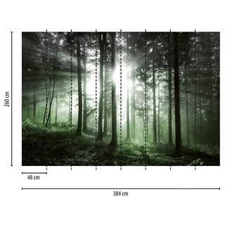 Fotomurale Tramonto e foresta Tessuto non tessuto -  3,84cm x 2,6cm