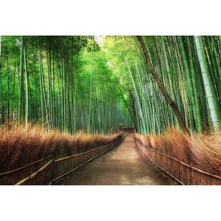 Fototapete Bamboo Grove Kyoto Vlies - Grün / Braun