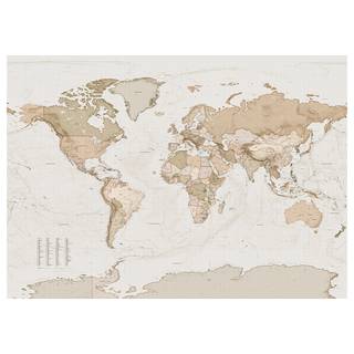 Fotomurale Earth Map Tessuto non tessuto - Marrone / Bianco