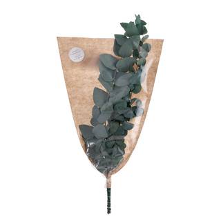 Trockenblumen FLOWER MARKET Eukalyptus Polyester - Grün