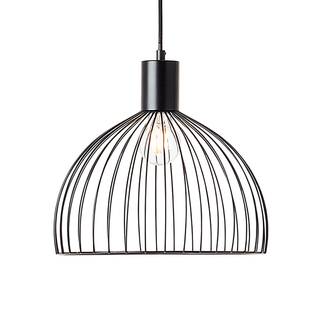 Suspension Blacky I Fer - 1 ampoule