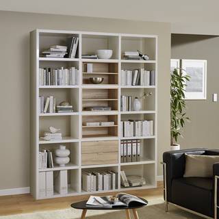 Facheinsatz Concept Eiche Dekor