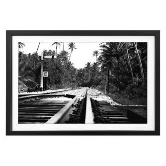 Bild Jungle Train