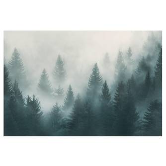 Vliestapete Nadelwald im Nebel