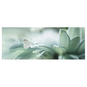 Glasbild Schmetterling und Tautropfen