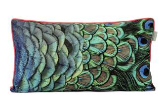 Peacock Housse coussin décoratif 50x30