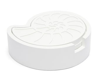 Classic Seashell Coasters Untersetzer