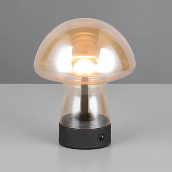 LED-Tischleuchte Dooley