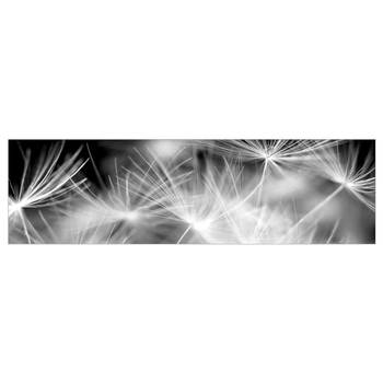 Keukenachterwand Paardebloemen Premium