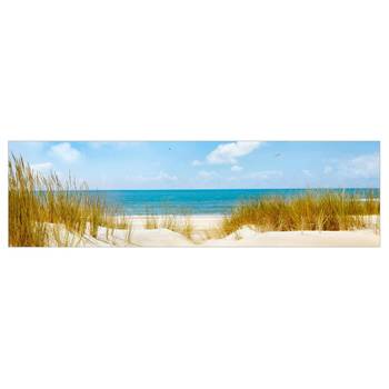 Pannello paraschizzi Mare Nord Premium