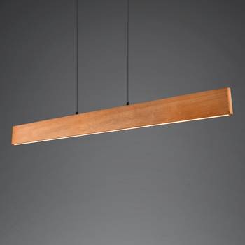 LED-Pendelleuchte Edgewood