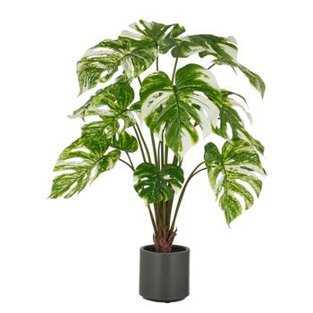 Kunstpflanze Split Philodendron Typ A