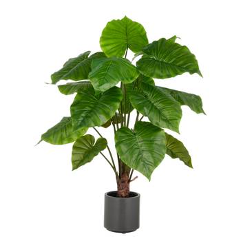 Kunstpflanze Alocasia Wentii