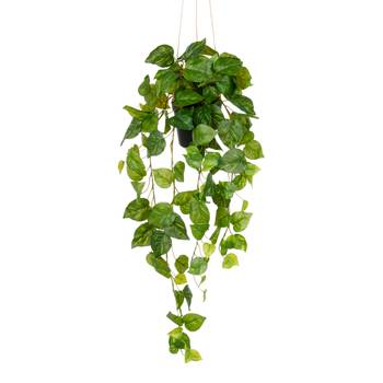 Kunstpflanze Philodendron Hederaceum