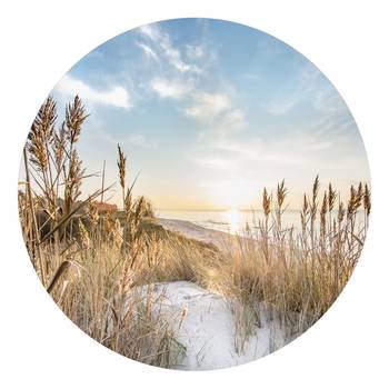 Glasbild Wilder Strand Rund Typ B