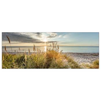Glasbild Wilder Strand Typ B