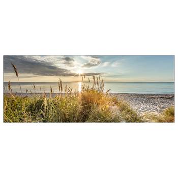 Glazen afbeelding Wild Strand type B