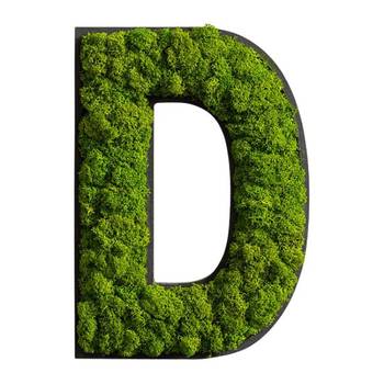 Dekopanel Buchstabe D