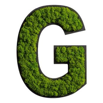 Dekopanel Buchstabe G