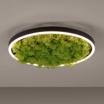 LED-Deckenleuchte Gerda Ritus