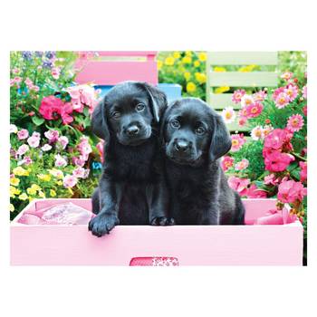 Puzzle Black Labs in Pink Box