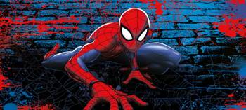 affiche Spider-Man