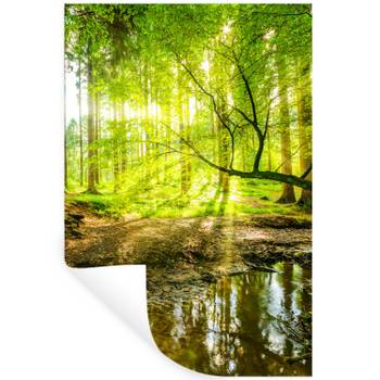 WANDTATTOO Wald