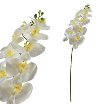 Kunstblume VIRIDIS