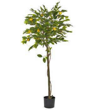 Kunstpflanze LEMON TREE