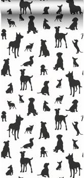 papier peint chiens