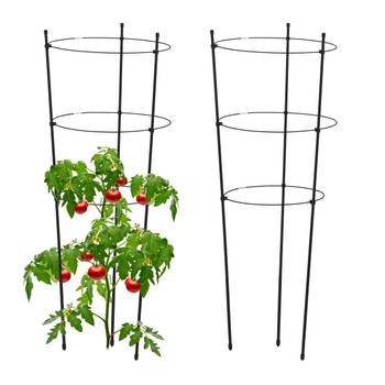 Tuteurs à tomates lot de 2 76 cm