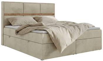 Boxspringbett ORVO