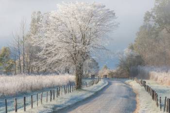 Tableau paysage Un matin glacial