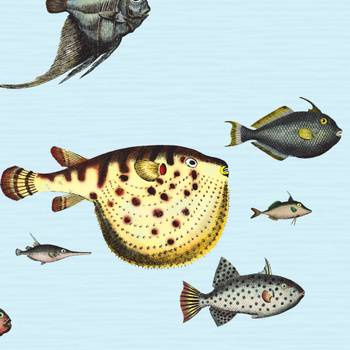 Tapete aus papier,Tropische Fische