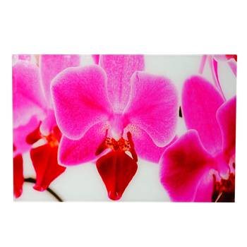 Glasbild T117 Orchidee