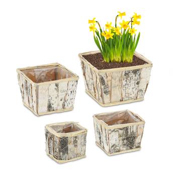 Eckiger Blumentopf Birke im 4er Set