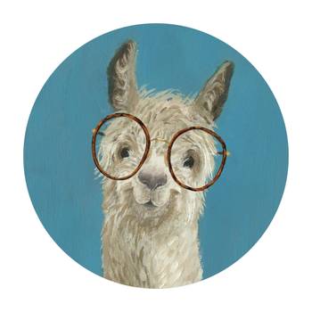 Lama mit Brille I