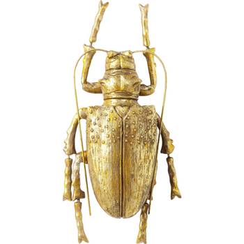 Wandschmuck Longicorn Beetle