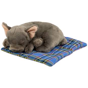 Kuscheltier Frz. Bulldogge mit Kissen