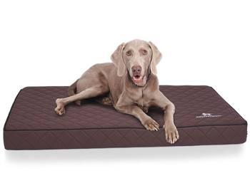 Hundematte Juna