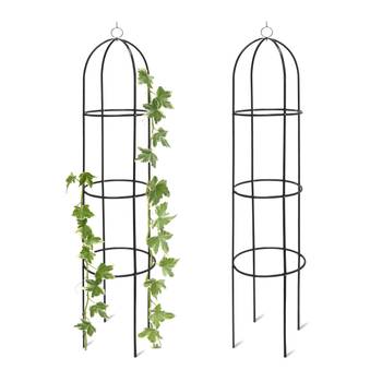 2x supports tuteurs plantes grimpantes