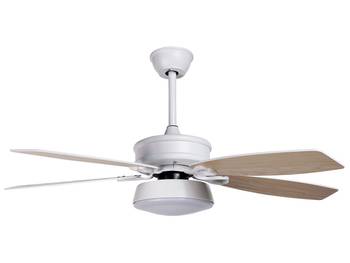 Ventilateur de plafond LOGAN