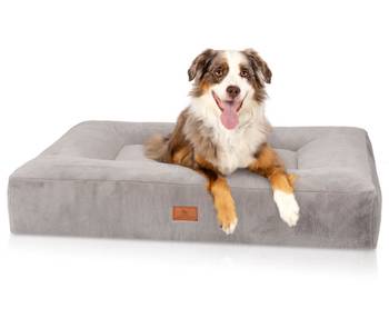 Hundebett Midland