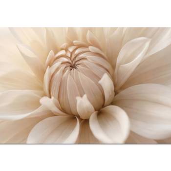 KÜCHENRÜCKWAND Blume