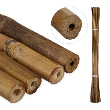 40er Set Pflanzstäbe Bambus 105 cm