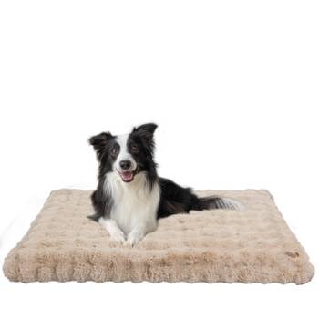 Orthopädisches Hundebett Hundekissen